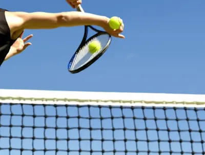 Illustration volleyed - Image 1