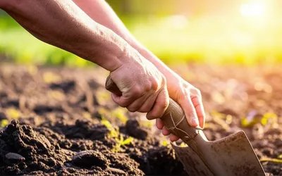 Illustration toil - Image 1