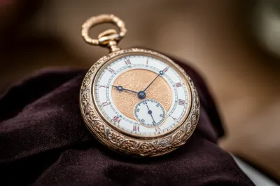 Illustration peng - Image 1