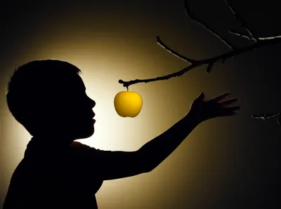 Illustration backlight - Image 1