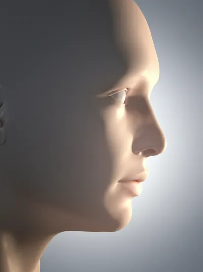 Illustration rostrum - Image 1