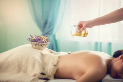 Illustration balsam - Image 1