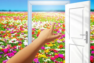 Illustration remitted - Image 1