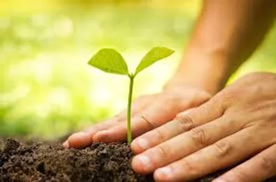 Illustration nurture - Image 2