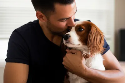 Illustration pet - Image 1