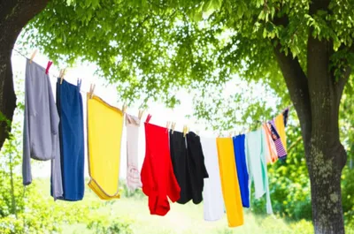 Illustration lines - Image 1