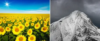 Illustration contrasting - Image 1