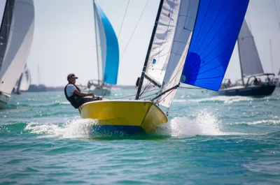 Illustration skipjack - Image 1