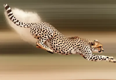 Illustration sooner - Image 1