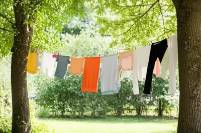 Illustration line - Image 1