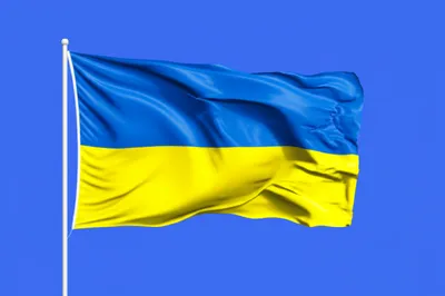 Illustration bicolor - Image 1