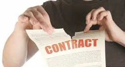 Illustration vacate - Image 2