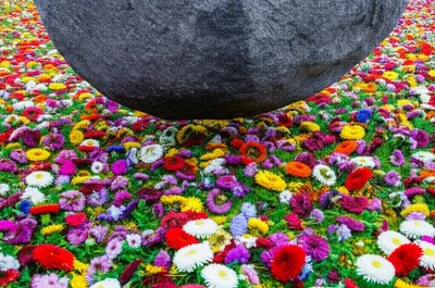 Illustration crushes - Image 1