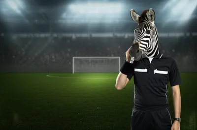 Illustration zebra - Image 1