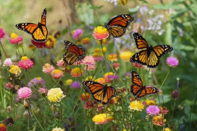 Illustration planes - Image 1