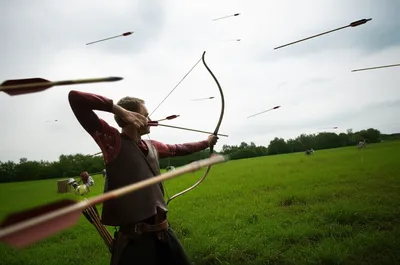 Illustration roved - Image 1