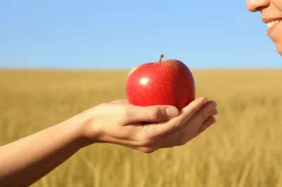 Illustration thankfully