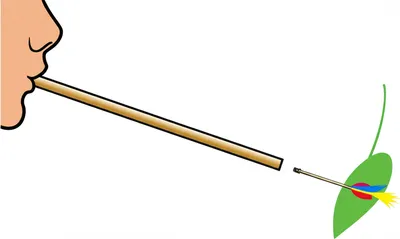 Illustration blowgun - Image 1