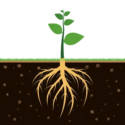 Illustration deepen - Image 1