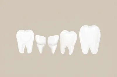 Illustration ivories - Image 1