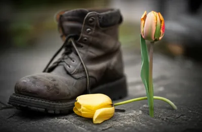 Illustration maltreat - Image 1