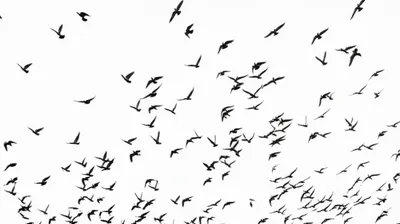 Illustration circulates - Image 1