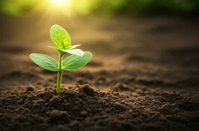 Illustration initialisations - Image 1