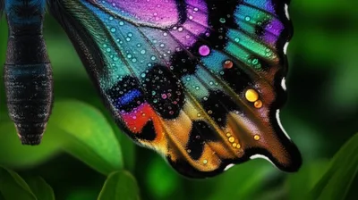 Illustration drops - Image 1