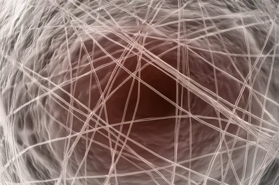 Illustration microfilament