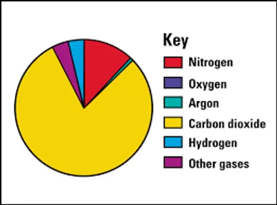 Illustration composition - Image 3