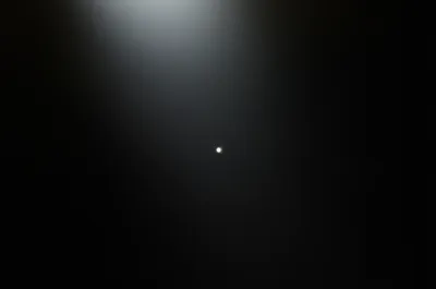 Illustration shred - Image 1