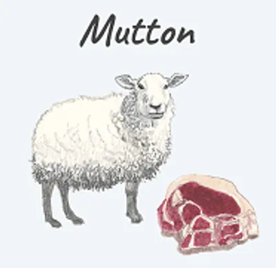 Illustration mutton - Image 2
