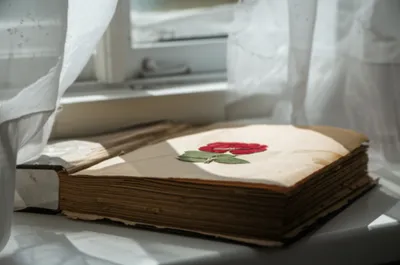 Illustration reminders