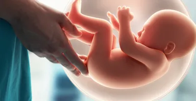 Illustration turning - Image 1