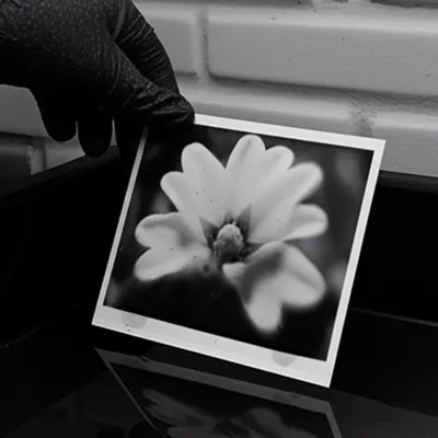 Illustration proving - Image 1