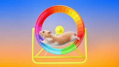 Illustration perpetually