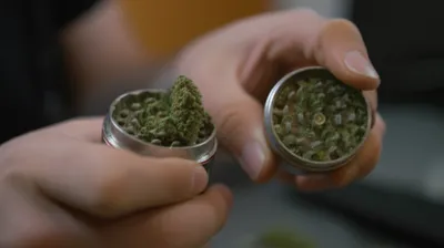 Illustration mulled - Image 1