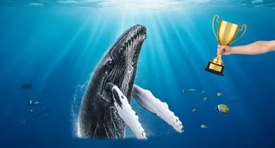 Illustration wales - Image 1