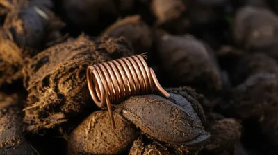 Illustration henries - Image 1