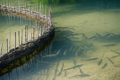 Illustration kettle - Image 1