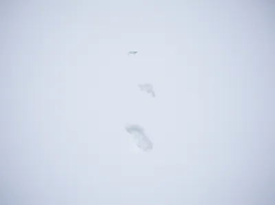 Illustration unturned