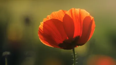 Illustration penetrating - Image 1