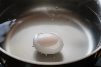 Illustration coddled - Image 1