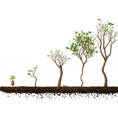 Illustration productions - Image 1