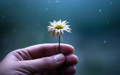 Illustration distressing - Image 1