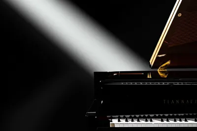 Illustration coda - Image 1