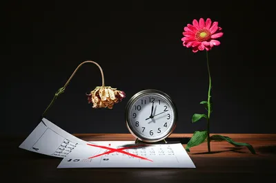 Illustration defers - Image 1