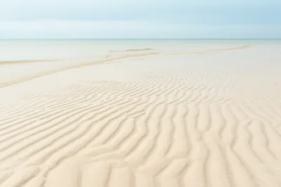 Illustration watered - Image 1