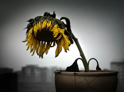 Illustration stresses - Image 1