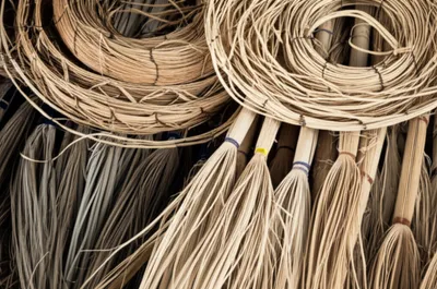 Illustration bass - Image 1